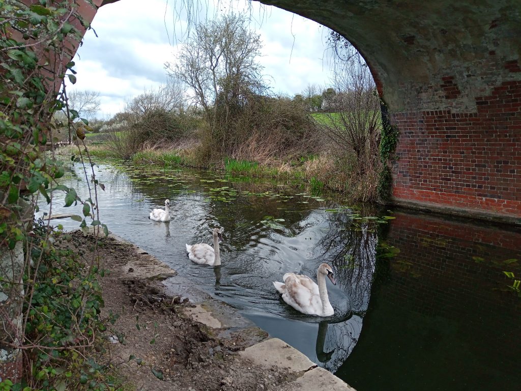 looking though orchard Bridge at the unrestored section of the Canal.